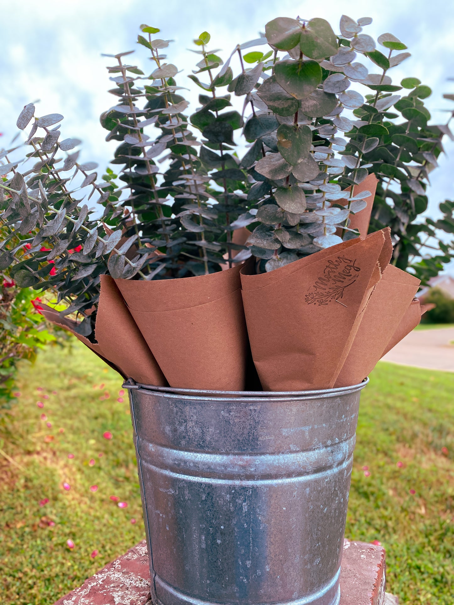 Eucalyptus Bundles