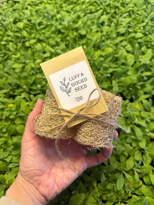 Luffa Gourd Seed & Luffa Sponges