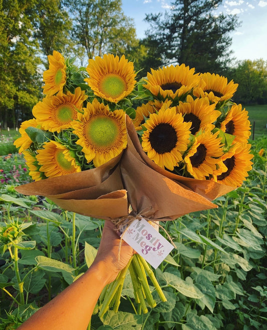 Sunflower Bundle