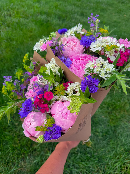 Peony Bundle